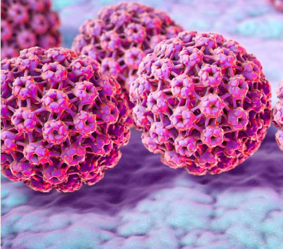 طول عمر ویروس hpv
