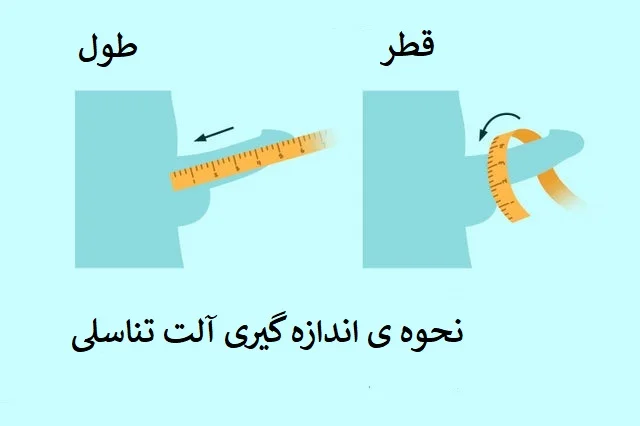 اندازه آلت تناسلی مرد چاق